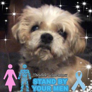 Meet your Posher, Mike sissy